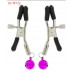 Nipple clamps with bells
