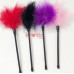 Exciting brush feather for caresses