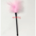 Exciting brush feather for caresses